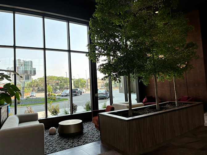 Photo of Zicheng's room