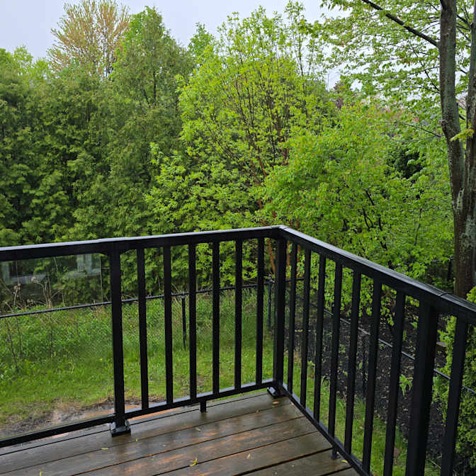 Amir Tabriznia's room