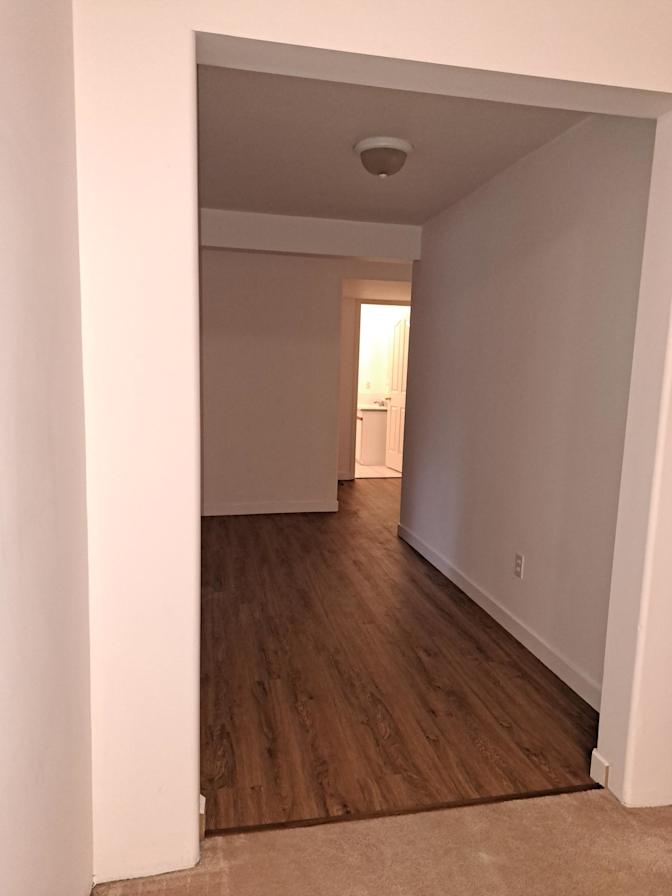 Photo of Nazanin Tofangchi's room