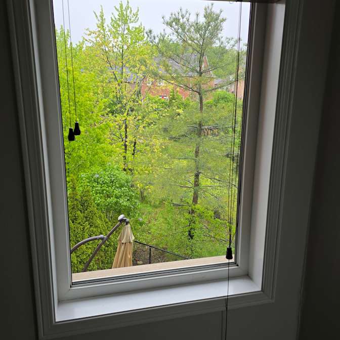 Amir Tabriznia's room