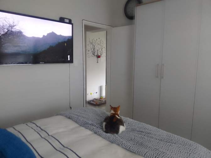 Photo of Debbie Mocke's room