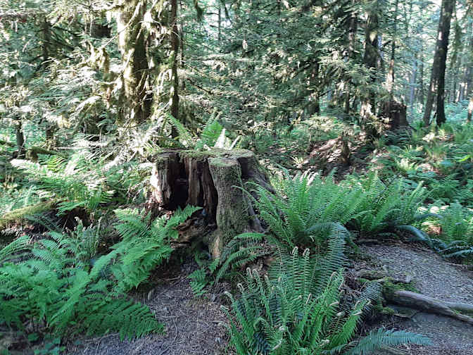 Photo of Marvin's room