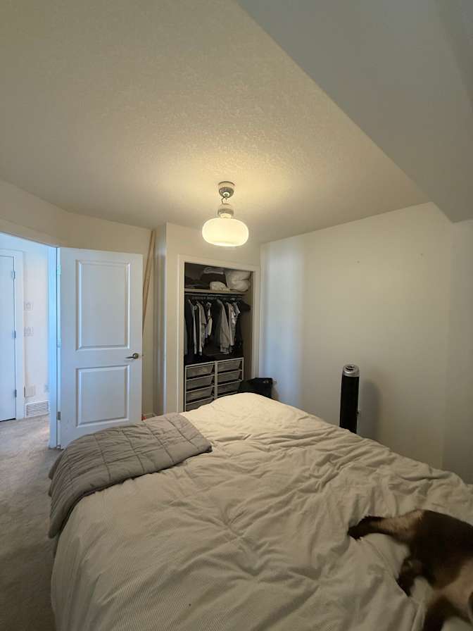 Photo of HARLEY's room