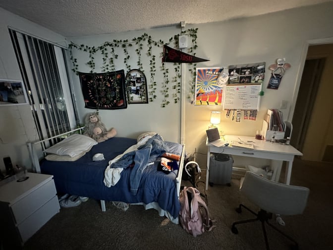 Photo of Andrea's room