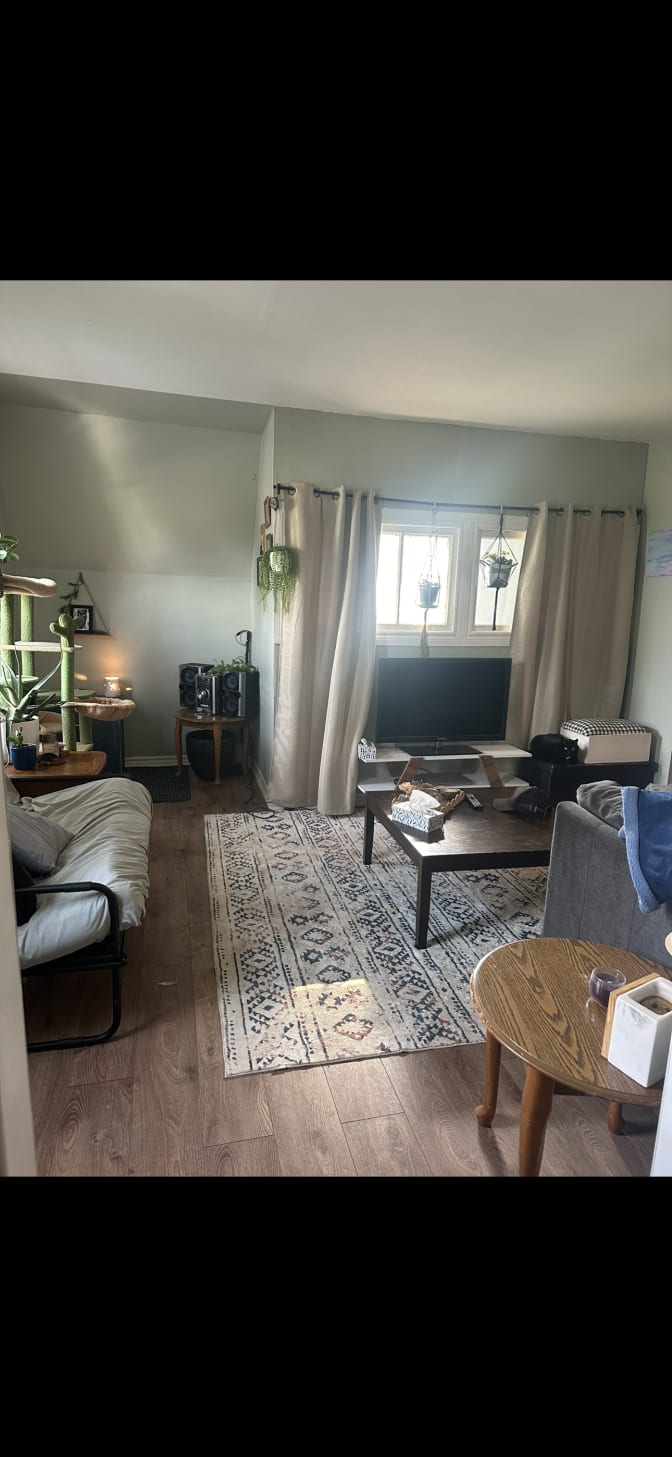 Photo of Rachael's room