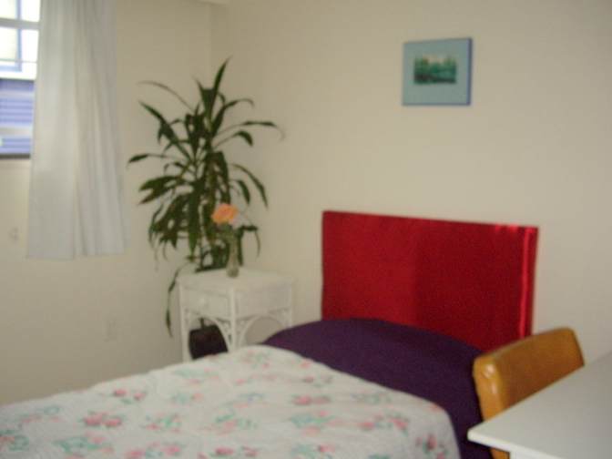 Gregory McCay's room