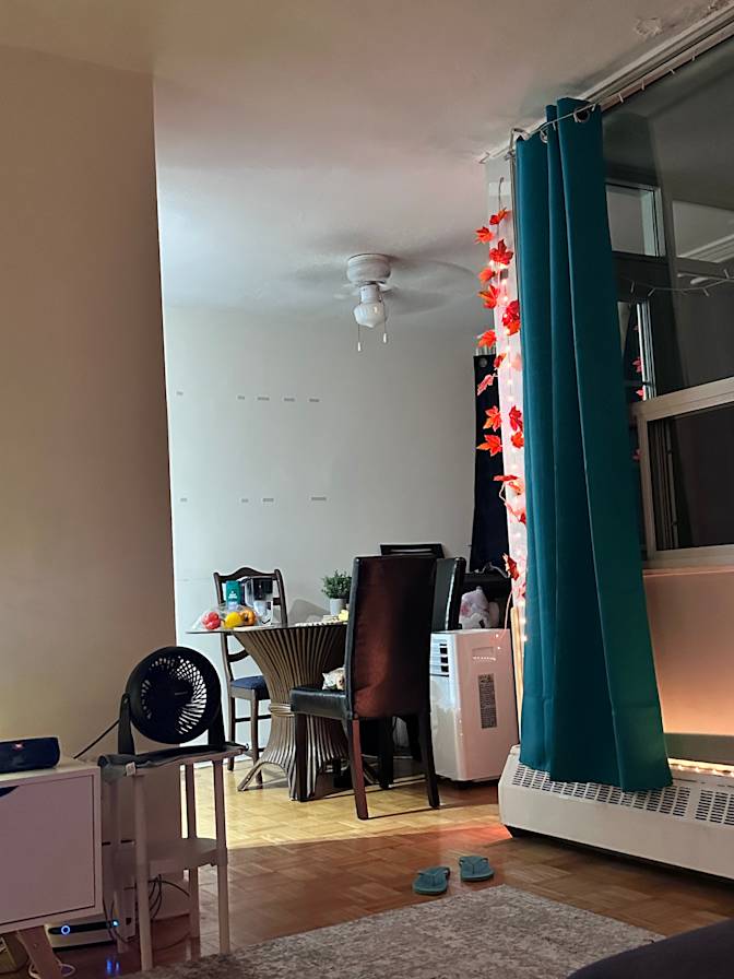 Photo of Mishmi's room