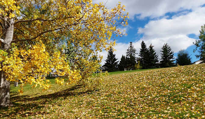 Photo of Leona's room