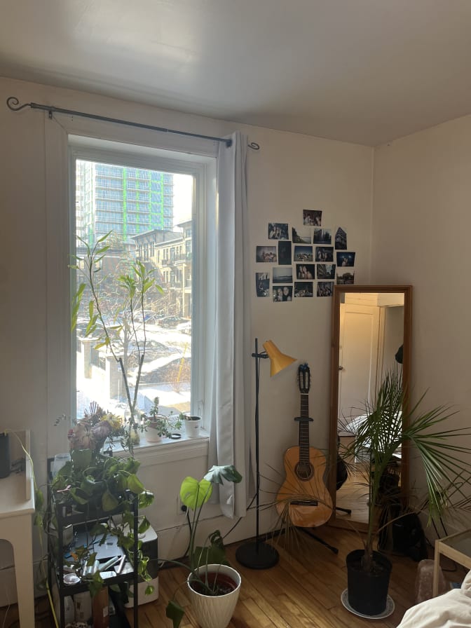 Photo of felicity's room