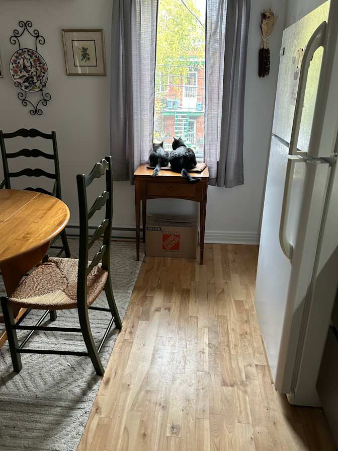 Elaine Fiddes's room