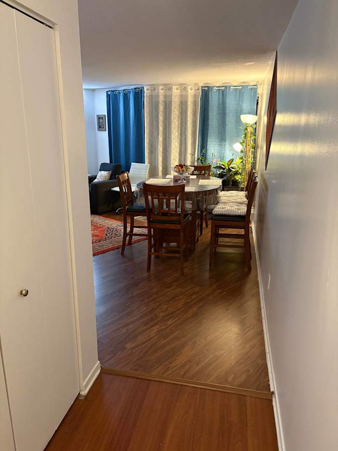 Saeid Foroughi's room