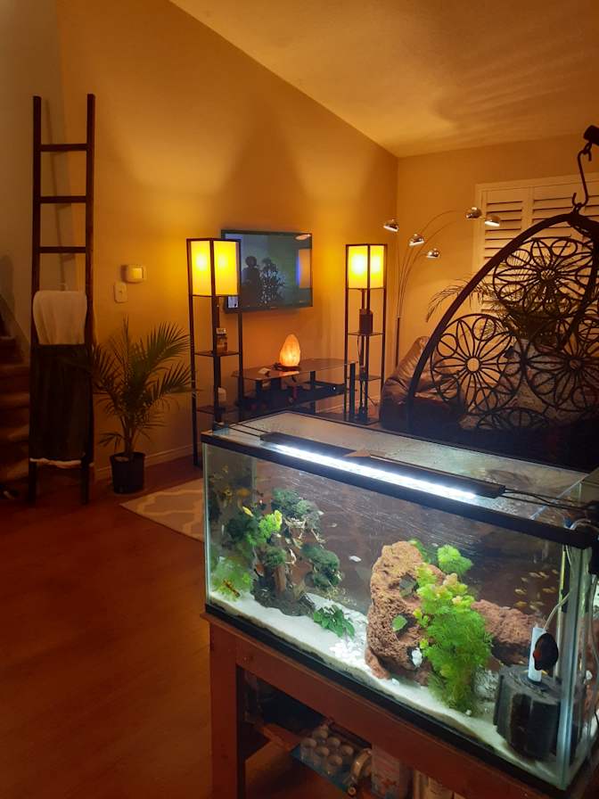 Jannis Morgan's room