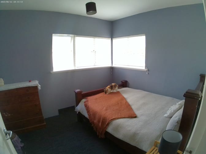 Photo of Misty's room