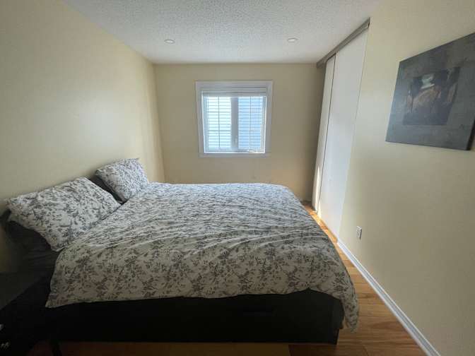 Franky Yousry's room