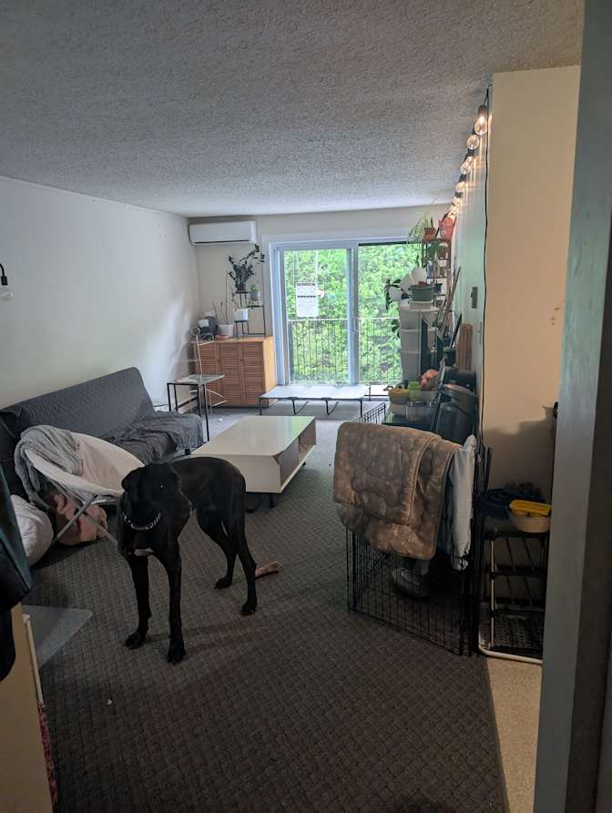 Maryna Myronenko's room