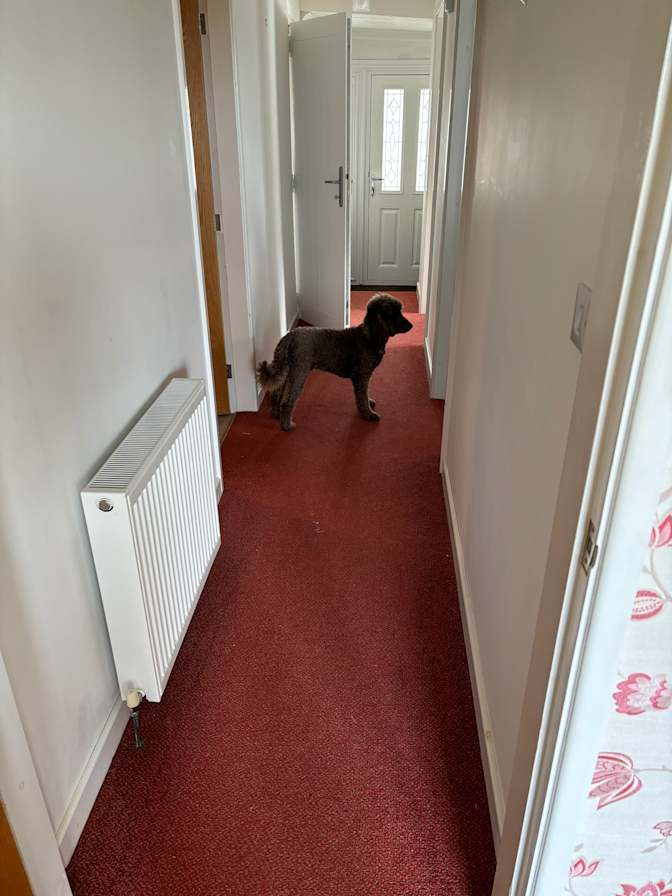 Photo of Janneke's room