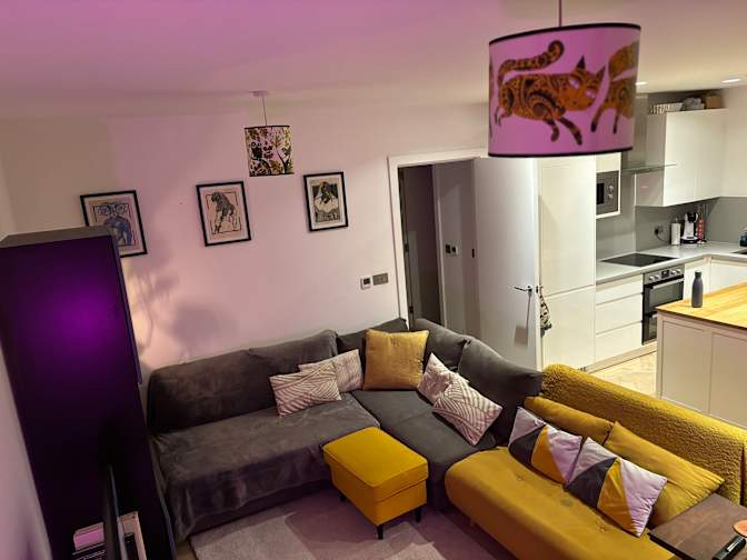 Photo of David's room