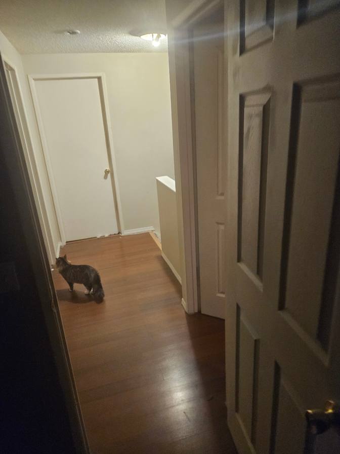 Photo of Gordon's room