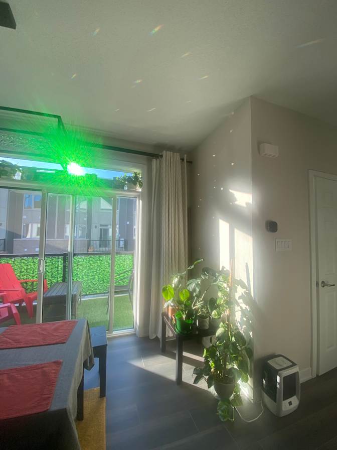 Photo of Shraddha's room