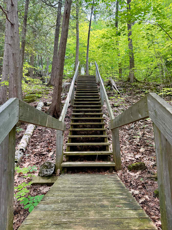 Photo of Amber's room