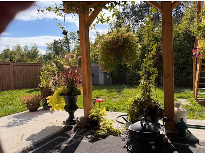 Barb Precious's room