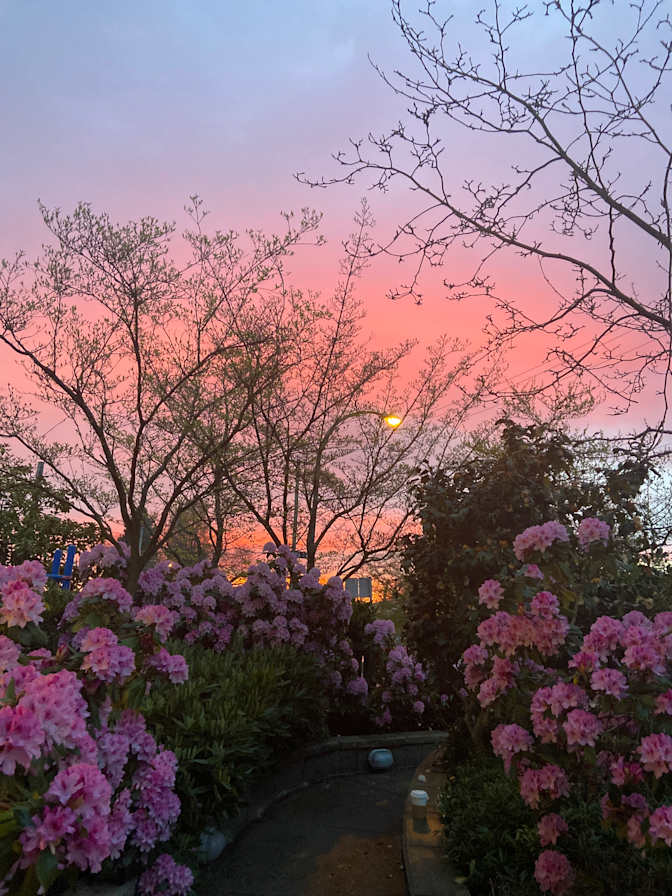 Photo of Shila's room