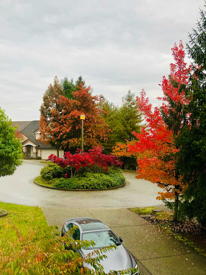 Photo of ETHAN's room