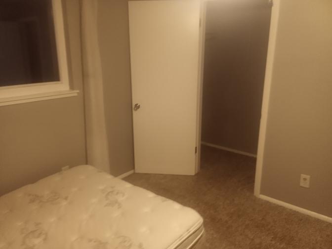 Photo of Todd's room
