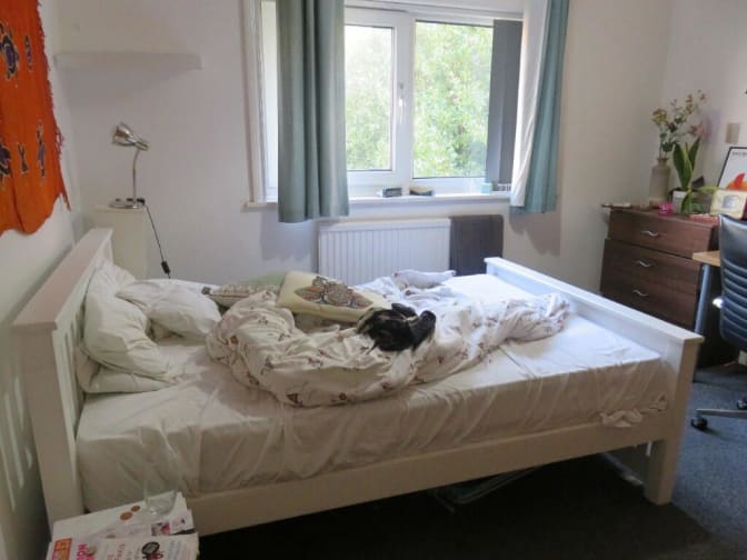 Photo of Jonathan Millar's room