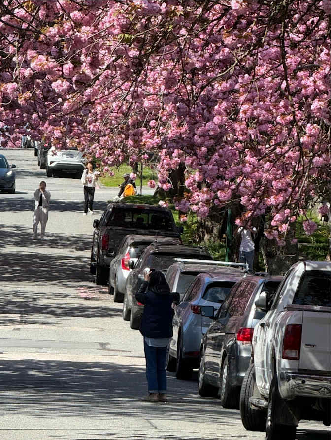 Photo of Danielle's room