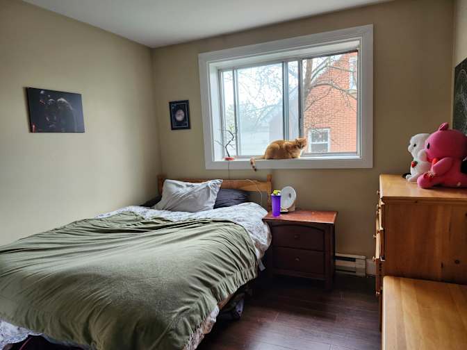 Photo of Alex's room