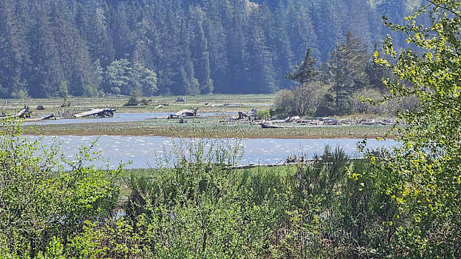 Photo of Jaqui's room