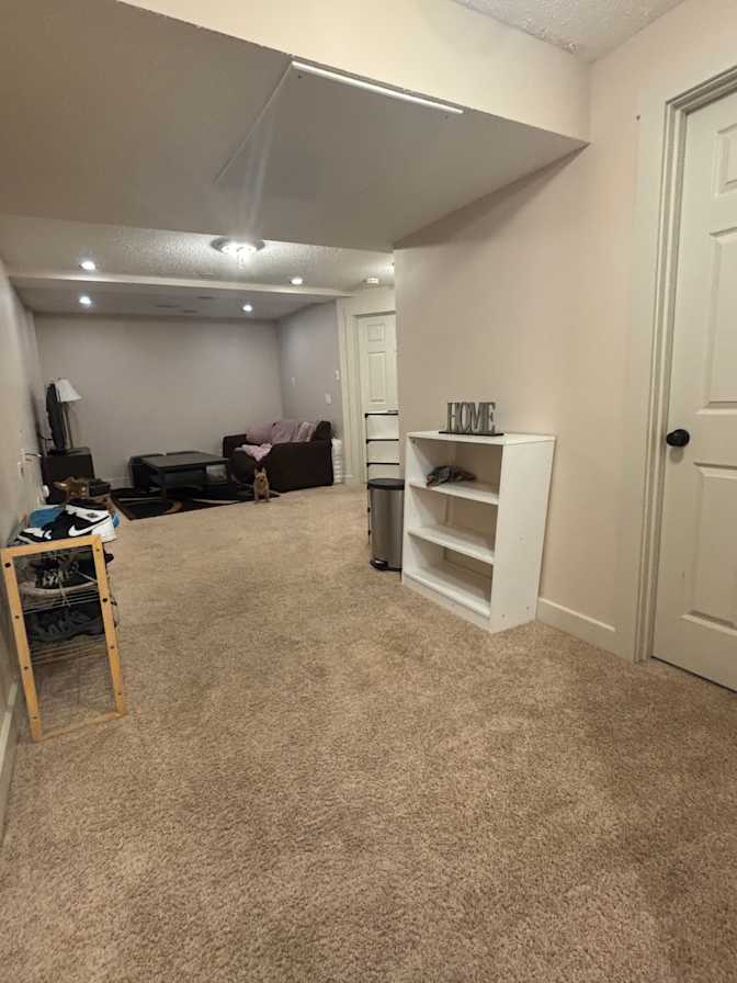 Shauna Collins's room