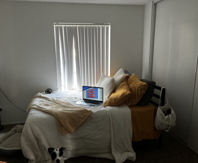 Photo of billie's room
