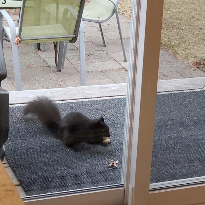 Photo of Helen's room