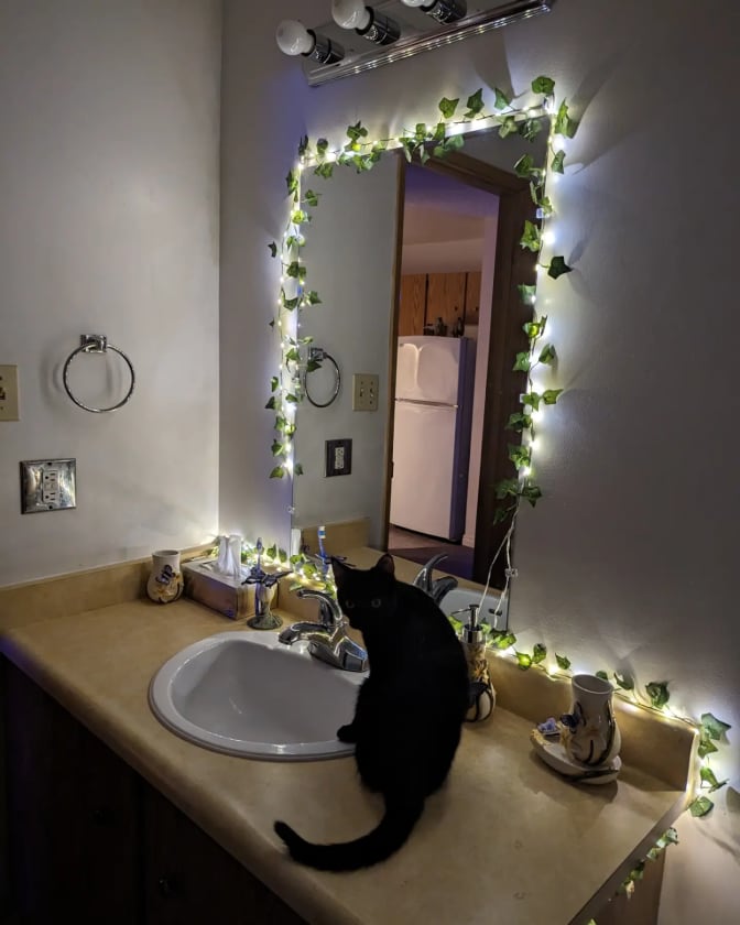 Photo of Sophie Moon's room