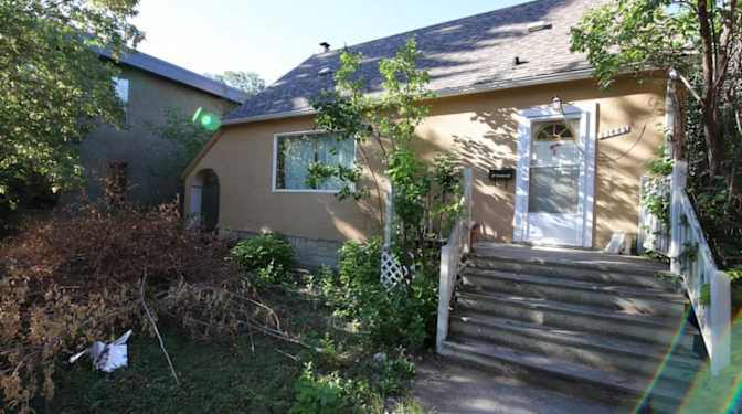 Wild cat team (Peter's room