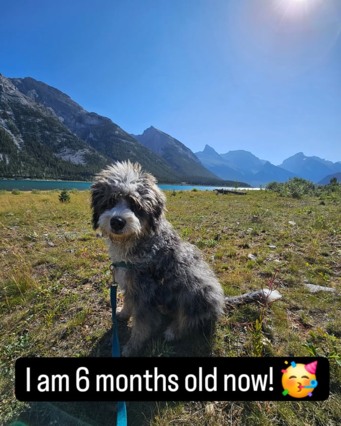 Photo of PAMELA's room