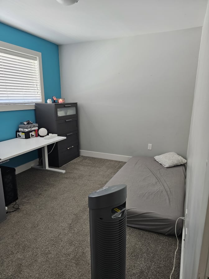 Photo of May's room