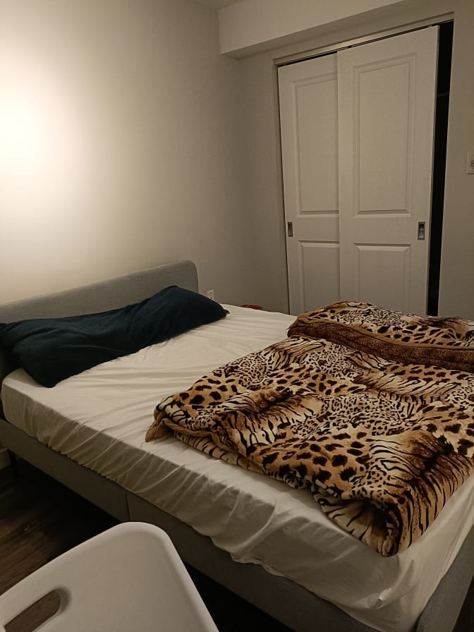 Photo of Khushboo's room