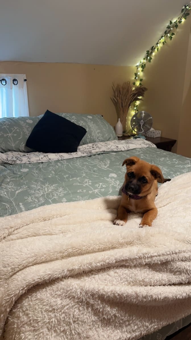 Photo of Rachael's room