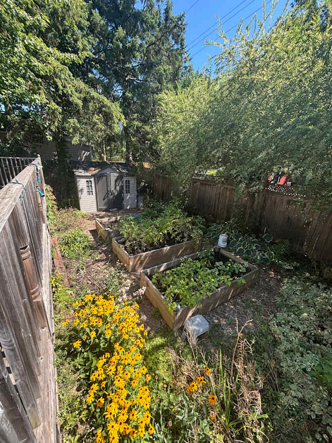 Photo of Julia Newcombe's room