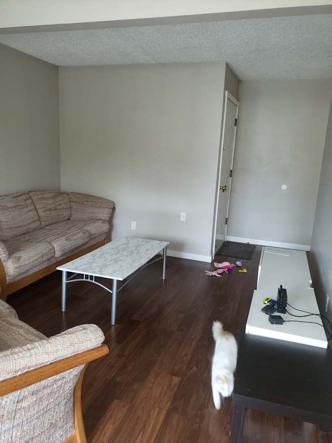Photo of brody's room
