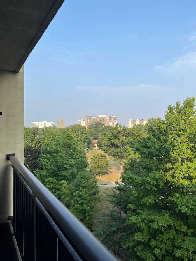 Photo of Mich B's room