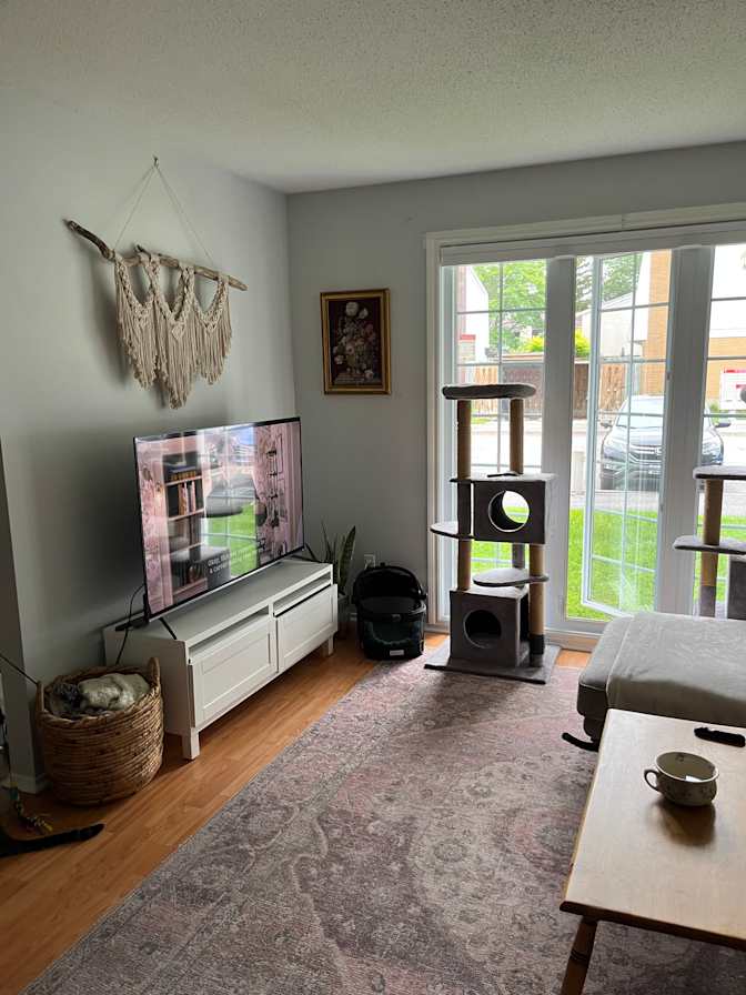 Photo of Steffany's room