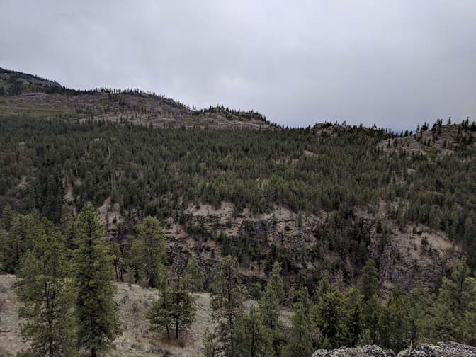 Pamela Thayer's room