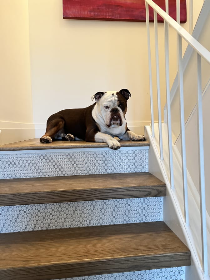 Photo of Marla DiCandia's room