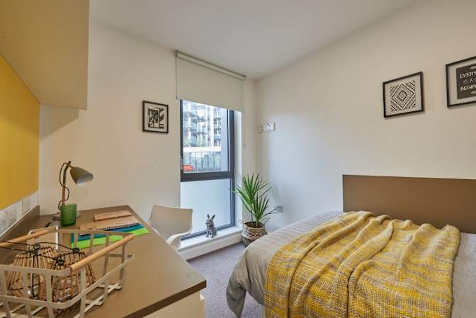 Photo of mishika manchanda's room