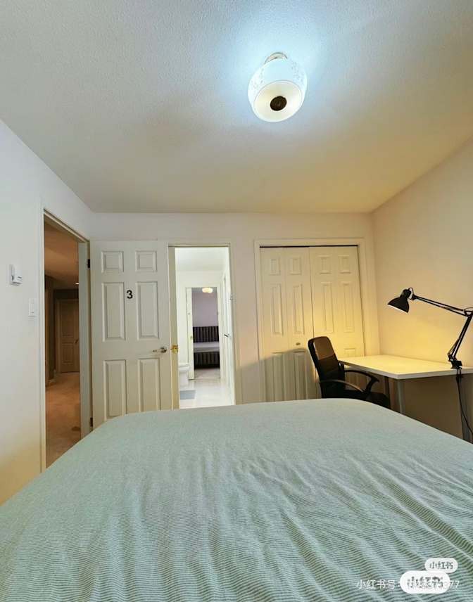 Photo of Momo's room