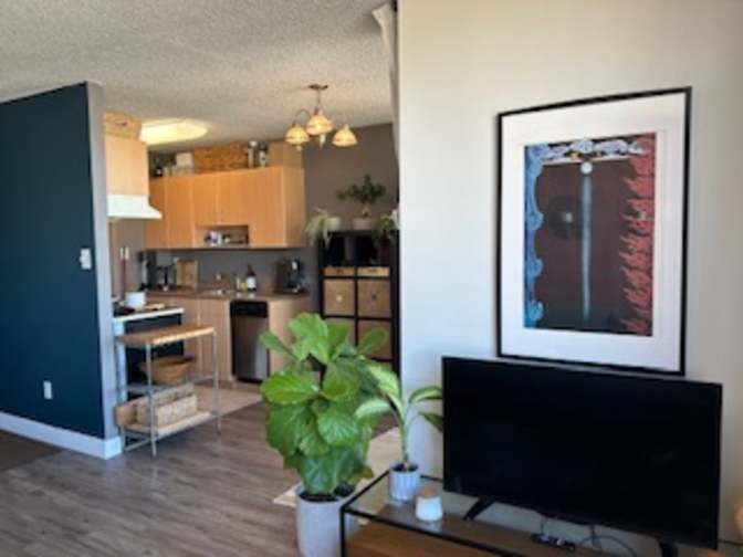 Photo of Jelli's room